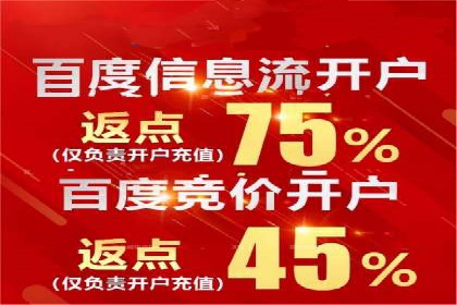 SEM推广优化策略：成功案例解析
